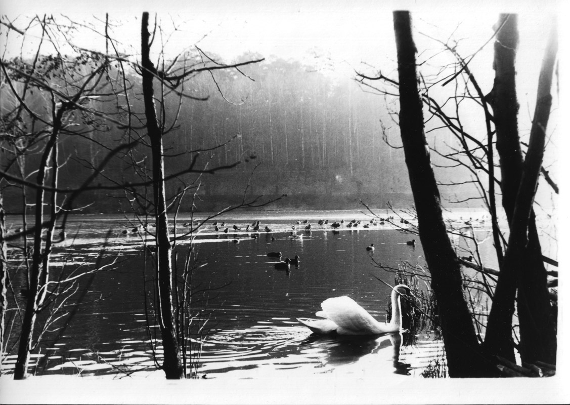 Winterlandschaft, 1975 | © Hildegard Ochse