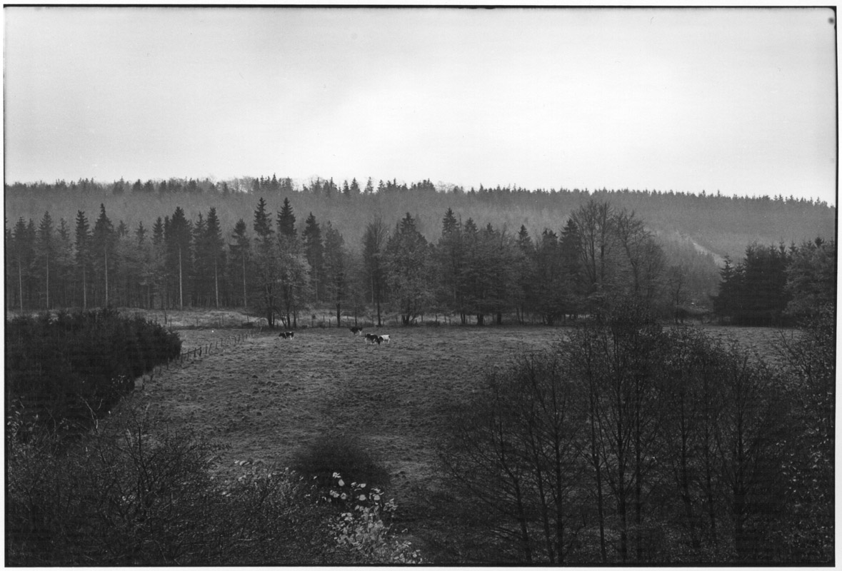 Landschaft im Solling, 1979 | © Hildegard Ochse